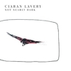 Ciaran Lavery – Not Nearly Dark