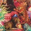 Coming Soon – Tiger Meets Lion