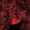 Cory Hanson – The Unborn Capitalist From Limbo