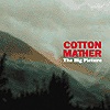 Cotton Maher – The Big Picture