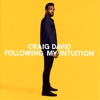 Craig David - Following My Intuition
