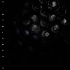 Crumb – Ice Melt