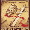 The Dad Horse Experience – Dead Dog On A Highway