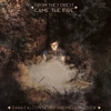 Dana Falconberry And Medicine Bow – From The Forest Came The Fire