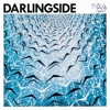 Darlingside – Birds Say
