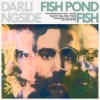 Darlingside – Fish Pond Fish