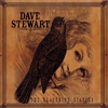 Dave Stewart - The Blackbird Diaries