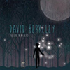 David Berkeley – The Fire In My Head