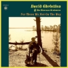 David Christian & The Pinecone Orchestra - For Those We Met On The Way