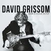 David Grissom – How It Feels To Fly