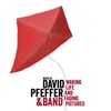 David Pfeffer & Band – Waking Life And Fading Pictures