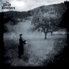 The Dead Brothers - Angst