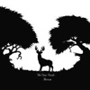 The Deer Tracks – Aurora