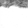 Delbo – Havarien