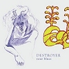 Destroyer - Your Blues
