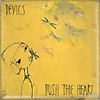 Devics – Push The Heart