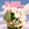 The Dirty Nil - Fuck Art