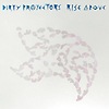 Dirty Projectors – Rise Above