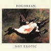 Dolorean – Not Exotic