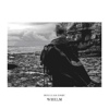 Douglas Dare – Whelm