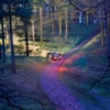 Drenge – Undertow