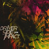 Driver Side Impact – Lion