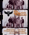 The Black Crowes – Freak N Roll… Into The Fog