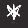Eighteen Visions – XVII
