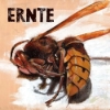 Ernte – Ernte
