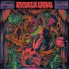 Escuela Grind – Memory Theater