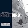 Eva Cassidy - Nightbird