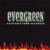 Evergreen – Playboys From Acapulco