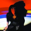 Fabienne Delsol - Four