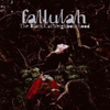 Fallulah – The Black Cat Neighbourhood
