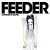 Feeder – Comfort In Sound