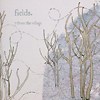 Fields – 7 From The Village