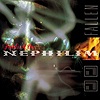 Fields Of The Nephilim – Fallen