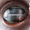 Filter - Crazy Eyes
