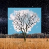 Fink – Bloom Innocent