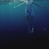 Flower Face - The Shark In Your Water