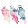 Flyying Colours – Mindfulness