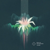 Folly & The Hunter - Awake