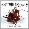 Franz Nicolay – Do The Struggle