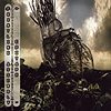 Front Line Assembly – Epitaph