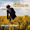 Fyfe Dangerfield - Fly Yellow Moon
