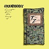 Grandaddy – Excerpts From The Diary Of Todd Zilla