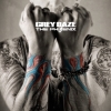 Grey Daze – The Phoenix
