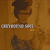 Greyhound Soul – Down