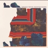 Grizzly Bear - Painted Ruins