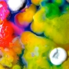 Guerilla Toss – Famously Alive